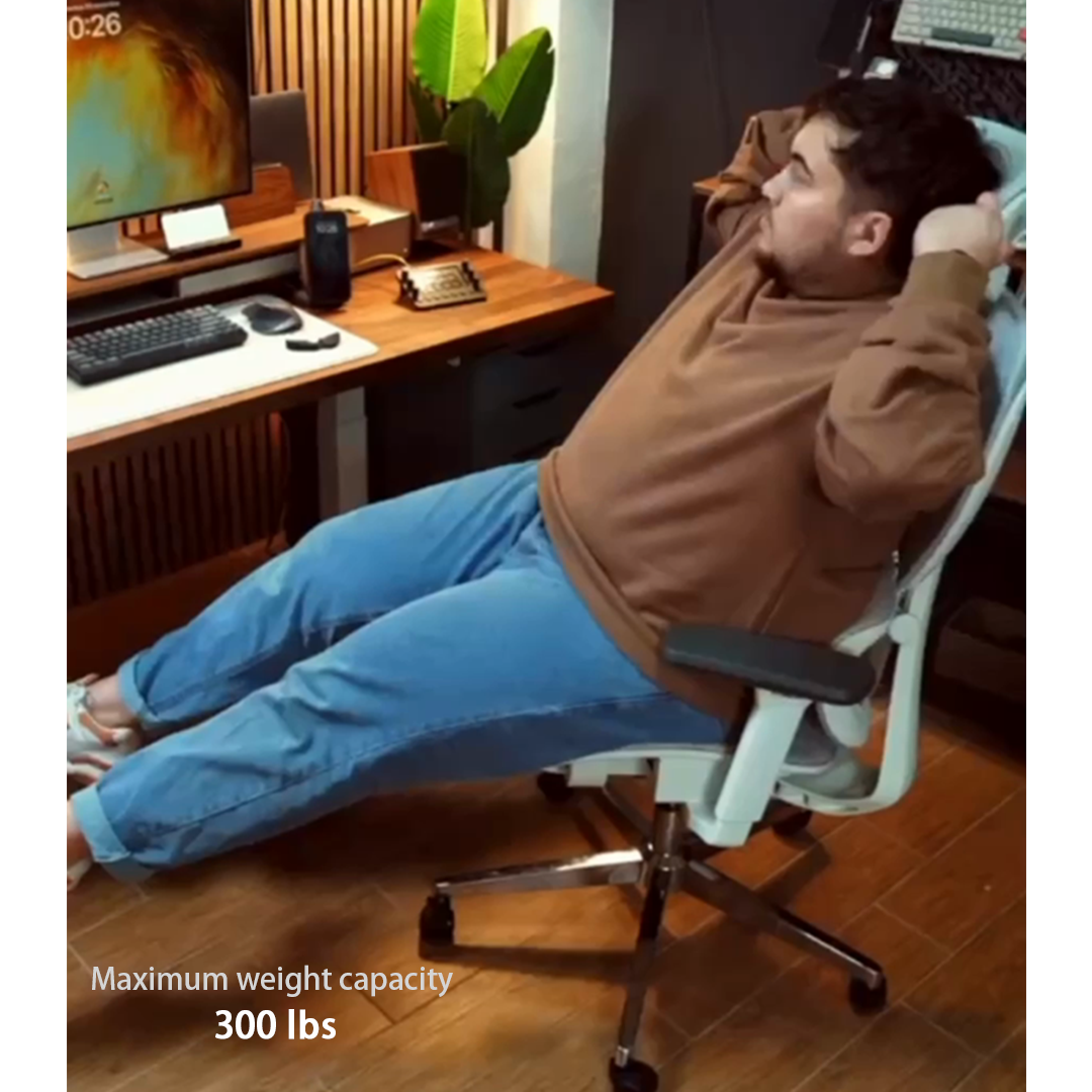Ergolover ergonomic office chair EL1